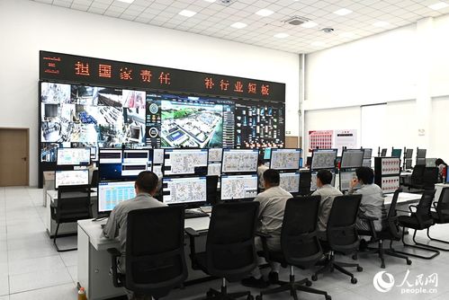 向智向綠，雙輪驅(qū)動 技術(shù)咨詢助力中國硅基材料產(chǎn)業(yè)破局前行